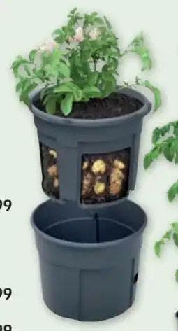 PENNY Kartoffeltopf Angebot