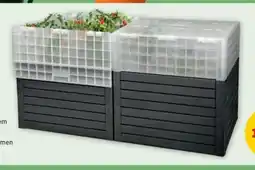 PENNY Gewächshaus Angebot