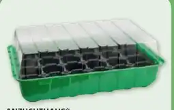 PENNY Anzuchthaus Angebot