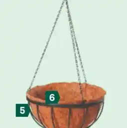 Lagerhaus Hanging Basket Angebot
