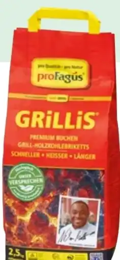 Lagerhaus proFagus Grillbriketts Grillis Angebot
