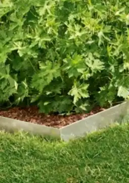 Lagerhaus Windhager Rasen-Gestaltungskante Angebot