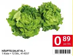 Transgourmet Häuptelsalat Angebot