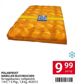 Transgourmet Polarfrost marillen blechkuchen Angebot