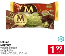 Transgourmet Eskimo Magnum Angebot