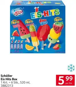 Transgourmet Schöller Eis Hits Box Angebot