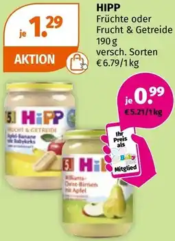 Müller Hipp Angebot