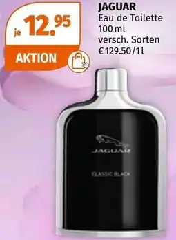 Müller Jaguar Angebot
