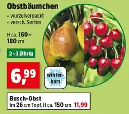 Thomas Philipps Obstbäumchen Angebot