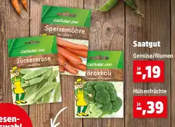 Thomas Philipps Saatgut Gemüse Blumen Angebot