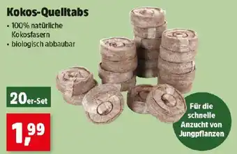 Thomas Philipps Kokos Quelltabs Angebot