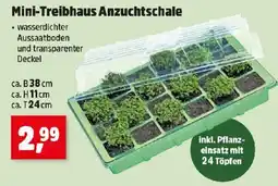 Thomas Philipps Mini Treibhaus Anzuchtschale Angebot