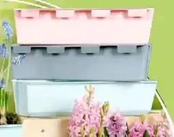 Thomas Philipps Pflanzgefäß easy Angebot