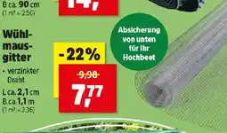 Thomas Philipps Wühlmausgitter Angebot