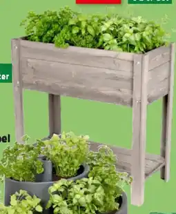 Thomas Philipps Hochbeet Angebot