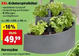 Thomas Philipps XXL-Kräuterspiralkübel Angebot