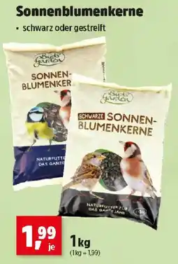 Thomas Philipps Sonnenblumenkerne Angebot