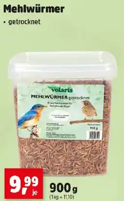 Thomas Philipps Mehlwürmer Angebot