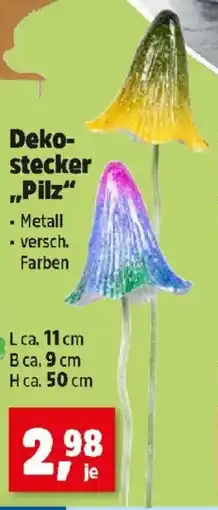 Thomas Philipps Dekostecker Pilz Angebot