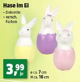 Thomas Philipps Hase im Ei Angebot