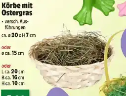 Thomas Philipps Körbe mit Ostergras Angebot