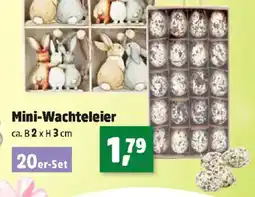 Thomas Philipps Mini-Wachteleier Angebot