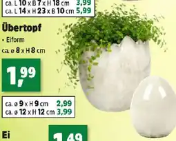 Thomas Philipps Übertopf Angebot