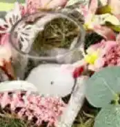 Thomas Philipps Windlichtglas Angebot