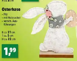 Thomas Philipps Osterhase Angebot