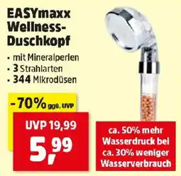 Thomas Philipps EASYmaxx Wellness Duschkopf Angebot