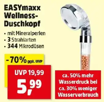 Thomas Philipps EASYmaxx Wellness Duschkopf Angebot