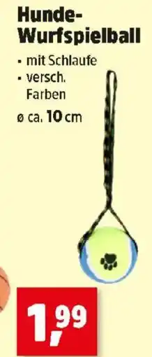 Thomas Philipps Hunde Wurfspielball Angebot