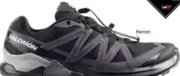 Hervis Salomon Herren Laufschuh Exaprime Angebot