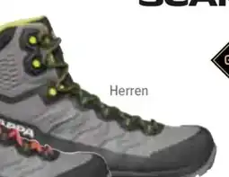 Hervis Scarpa Herren Wanderschuh Rush Trek LT GTX Angebot
