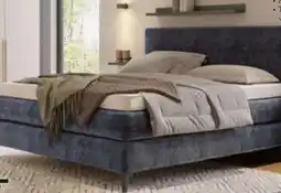 XXXLutz Sjöholm Boxspringbett Angebot