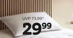 Mömax Kopfpolster Martha Mittel Angebot