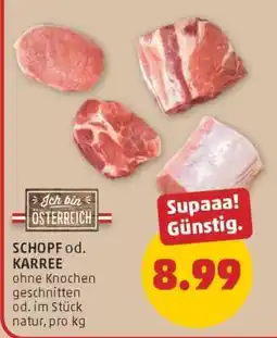 PENNY SCHOPF od. KARREE Angebot