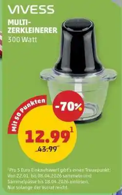 PENNY VIVESS MULTI-ZERKLEINERER Angebot