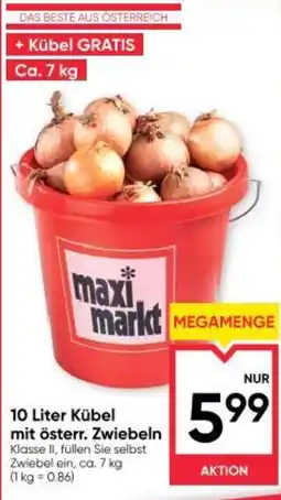 Maximarkt 10 Liter Kübel mit österr Zwiebeln Angebot
