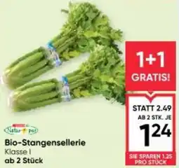 Maximarkt Bio-Stangensellerie Angebot