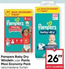 Maximarkt Pampers Baby Dry Windeln Angebot