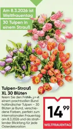 Maximarkt Tulpen Strauß XL 30 Blüten Angebot
