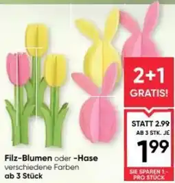 Maximarkt Filz Blumen oder Hase Angebot