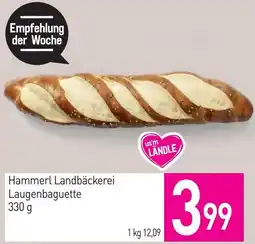 Sutterlüty Hammerl Landbäckerei Laugenbaguette Angebot