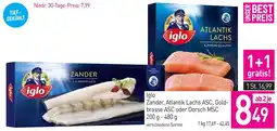 Sutterlüty Iglo Zander, Atlantik Lachs ASC, Gold- brasse ASC oder Dorsch MSC Angebot