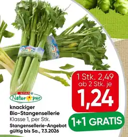 Spar knackiger Bio-Stangensellerie Angebot
