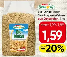 Spar Bio-Dinkel oder Bio-Purpur Weizen Angebot