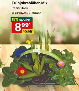 Lagerhaus Frühjahrsblüher Mix Angebot