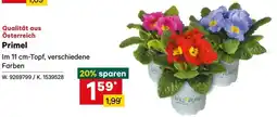 Lagerhaus Primel Angebot