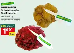 Lagerhaus Immergrün Schalotten oder Steckzwiebel Angebot